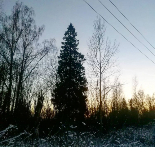 07:42:39 GMT+0100 (WAT).png