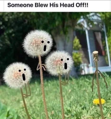 22:00:02 GMT-0800 (PST).image