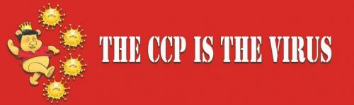 01:14:51 GMT+1100 (AEDT)