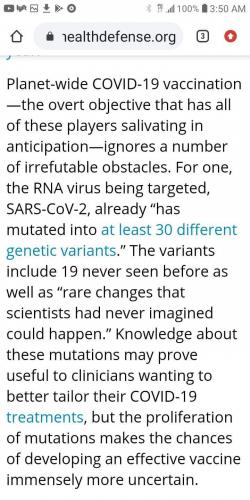 FB_IMG_1607629144574