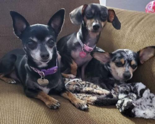 12:29:12 GMT-0800 (PST)