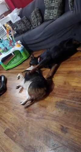 10:37:27 GMT-0800 (PST)