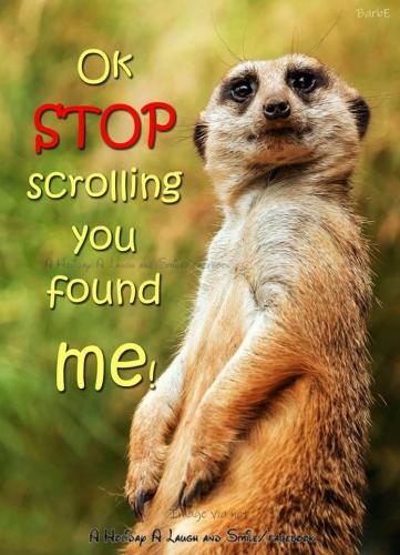 116341596_168594218093675_1709856174409481741_o