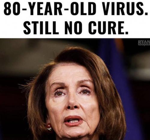 593837EE-9A83-4D8D-826B-62394228BDE1-22770-0000115D089B2CEC