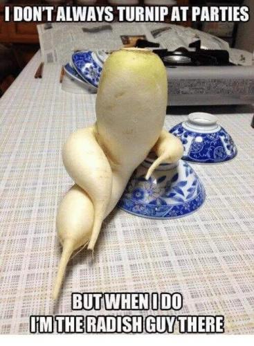 20:06:59 GMT-0500 (EST)