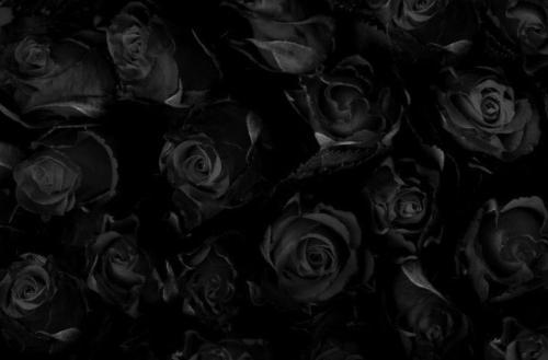 2e07a5a8190b1cf18e12cdc11a884957