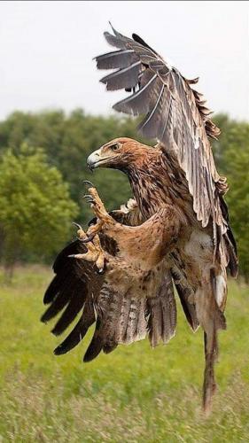 128827193_3844660802235400_4290528156165403566_n