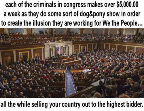 congress134