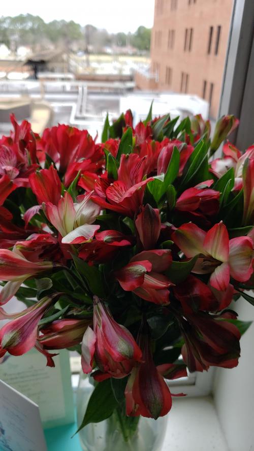 19:41:20 GMT-0500 (EST)