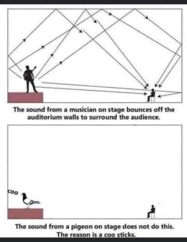 20:19:29 GMT-0500 (EST)