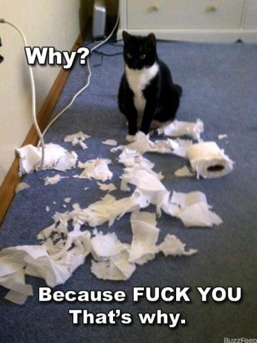 21:27:51 GMT-0800 (PST).image