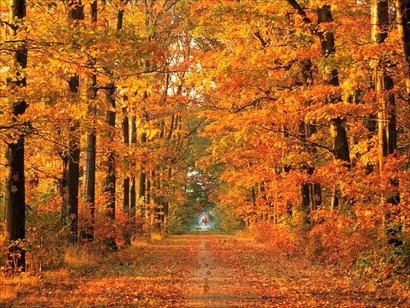 05:27:40 GMT-0600 (CST)