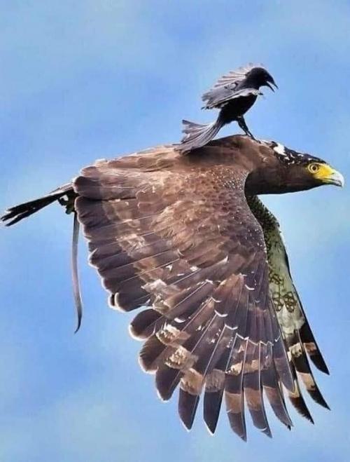 08:46:17 GMT-0600 (CST)