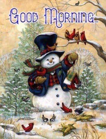 11:46:29 GMT-0600 (CST)