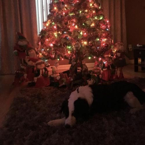 19:07:49 GMT-0500 (EST).image