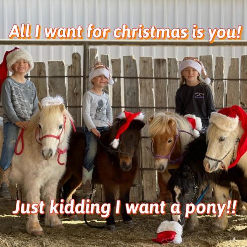 20:38:13 GMT-0600 (CST).image