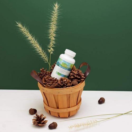 13:41:32 GMT-0500 (EST)