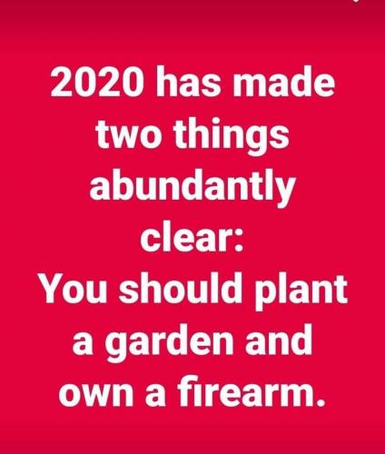 953B66F7-E1A1-4462-B9BC-0FF738D8F4A0-27010-000013F2ECACA8E4