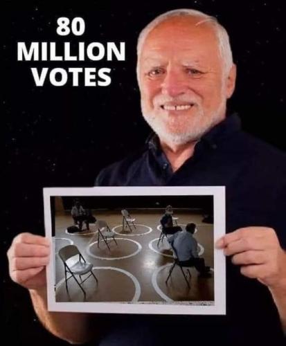 voterfraud95