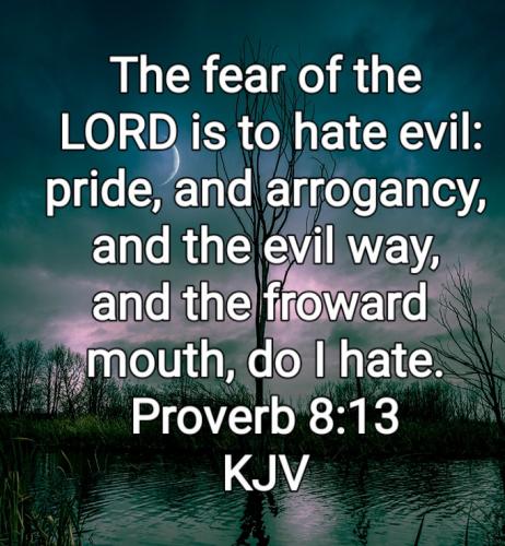 03:47:20 GMT-0800 (PST)