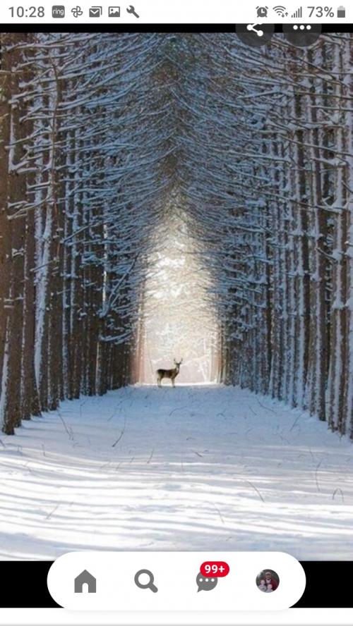 19:35:51 GMT-0500 (EST)