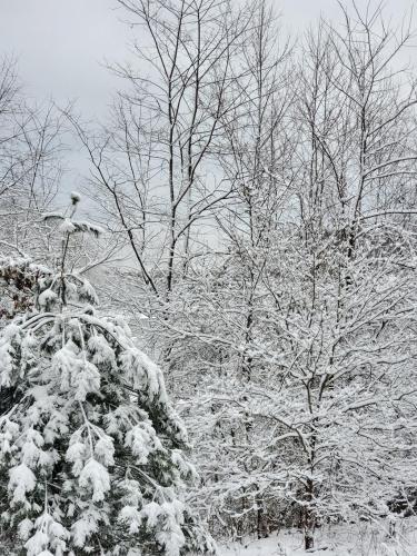 12:08:51 GMT-0500 (EST)