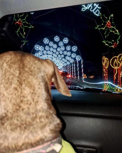 0F83B342-2B69-4071-BE37-09B45F0CAF2D