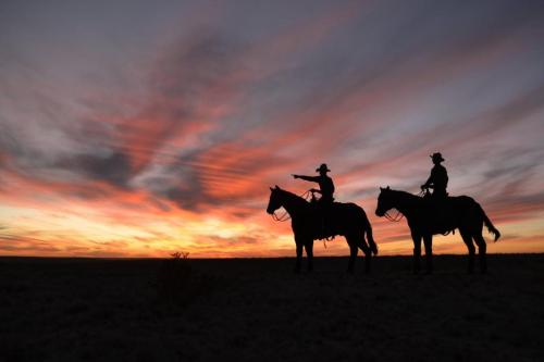 131987695_10218882430120000_9000841608195085560_o