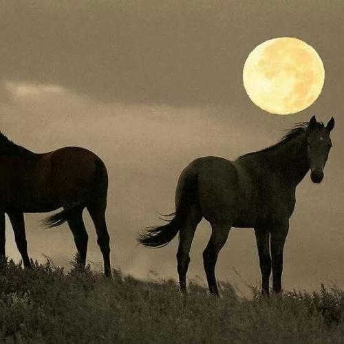 130604920_381326722946605_7169538701073575697_n