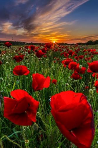 tumblr_b6abf2d2940e8dc3ddf5f4013b59433a_9e0cbe4f_500