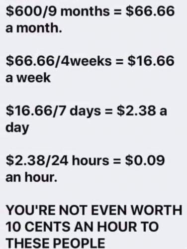 132838714_10218857607494011_7988447065148589382_n