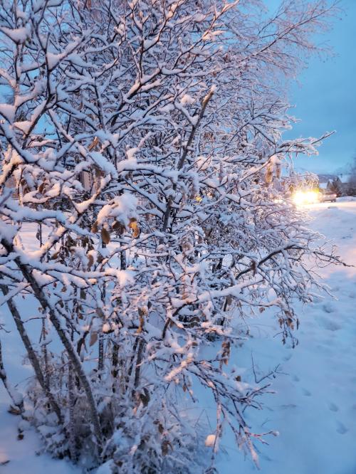 05:15:40 GMT-0900 (AKST)