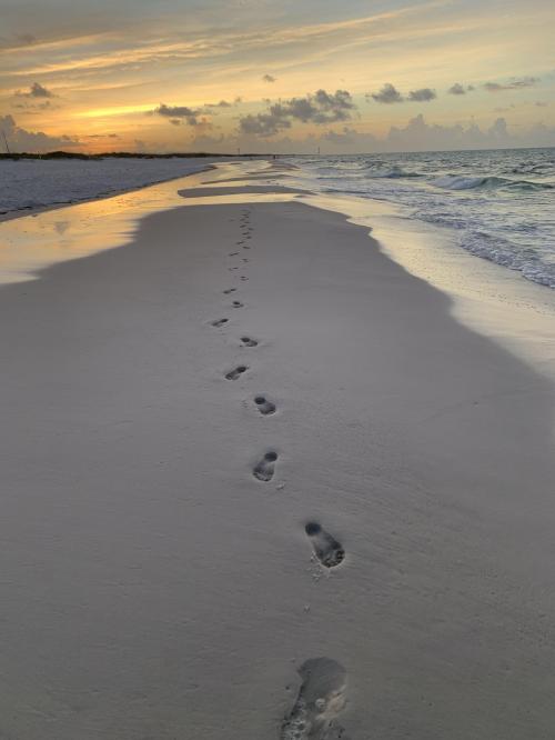 02879A38-3411-41D6-AC46-0942AFA4EAF9