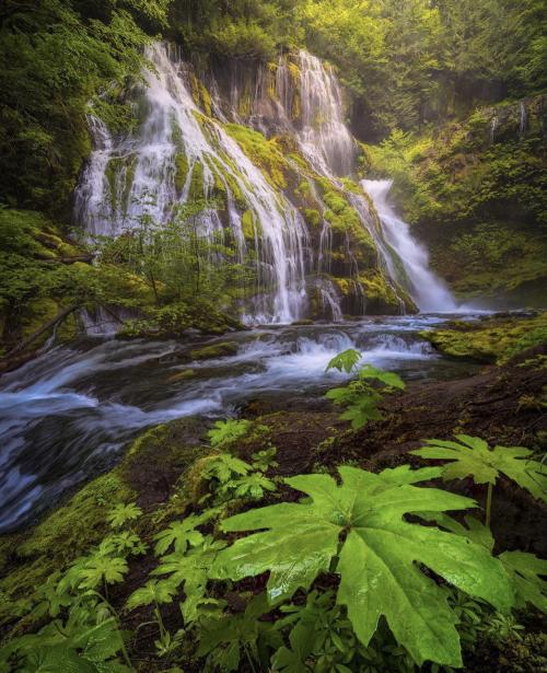 09:32:11 GMT+0100 (WAT).image