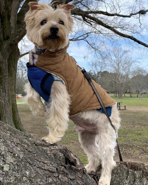 13:44:01 GMT+0100 (WAT).image