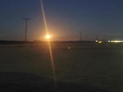 01:24:51 GMT-0800 (PST)