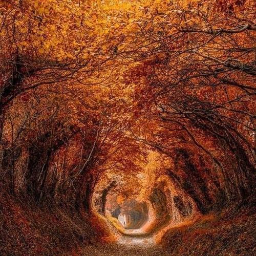 06:48:52 GMT+0100 (WAT)