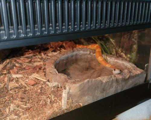 22:43:12 GMT-0500 (EST)