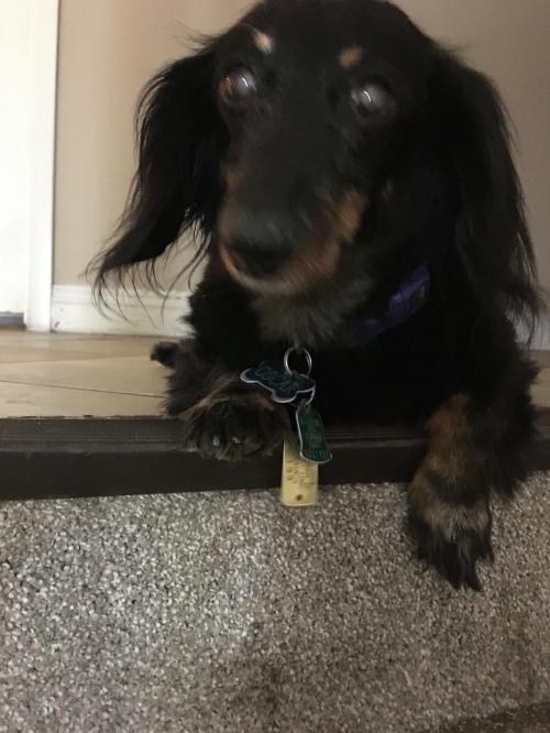 01:35:28 GMT-0800 (PST).image