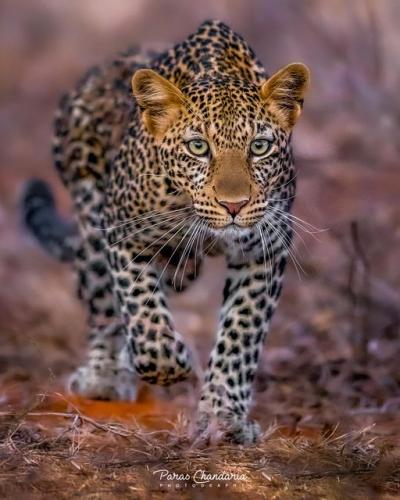 134567558_225235879158206_4974904989783357787_o