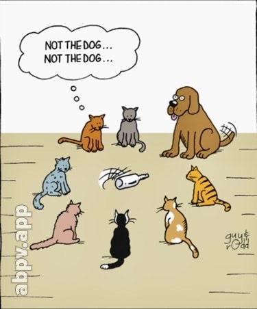 01:29:58 GMT-0600 (CST).image