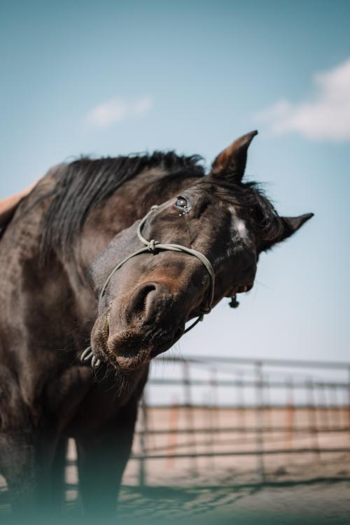 09:10:59 GMT-0700 (MST)