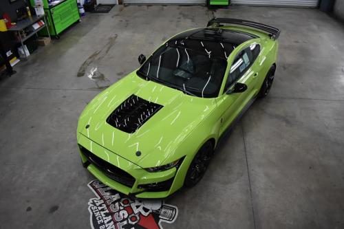 128978889_1445197545690903_8780496706769616983_n