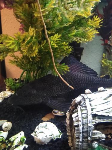 05:21:57 GMT-0600 (CST)