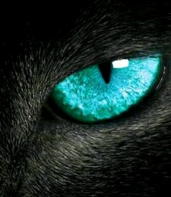 18:58:46 GMT-0600 (CST)