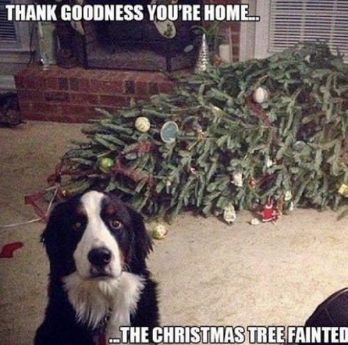 14:02:01 GMT-0500 (EST).image