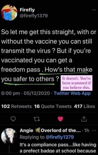 FB_IMG_1608046502980