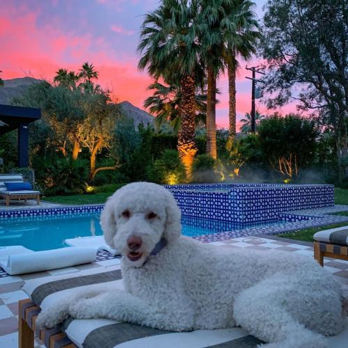 17:26:27 GMT+0100 (WAT)