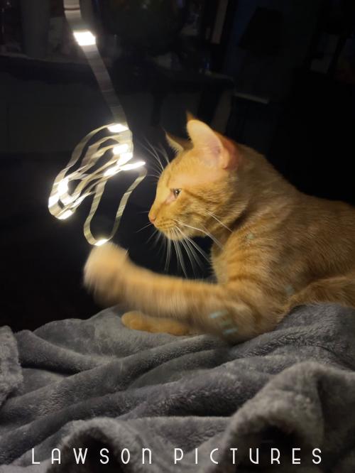 00:06:45 GMT-0600 (CST).image