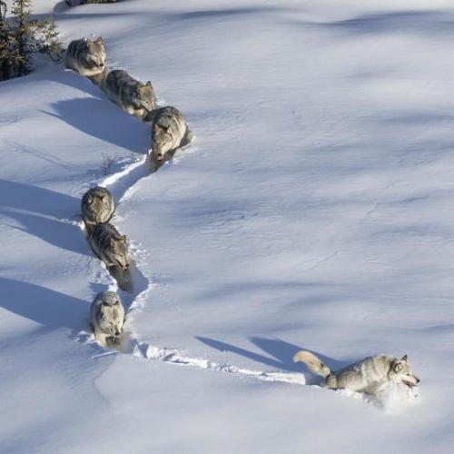 tumblr_o40rzegn3v1ugza5uo1_540